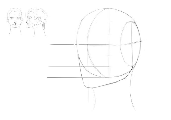 heads from 3 quarter view_002
