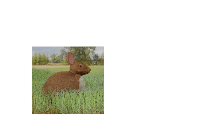 Bunny in the grass