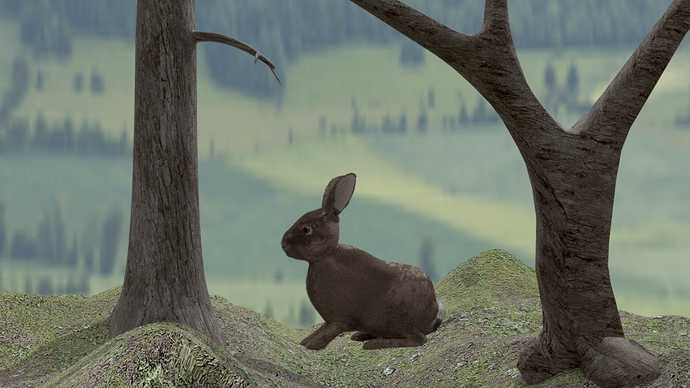 Rabbit08