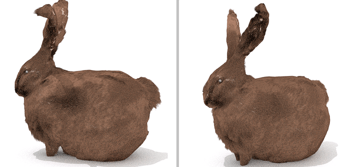 rabbitfur02