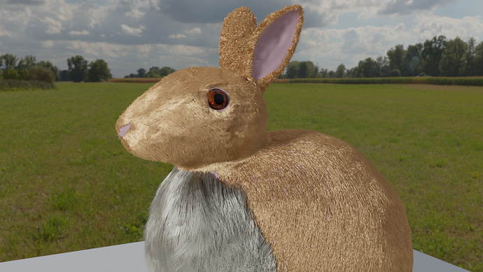 Bunny with skybox