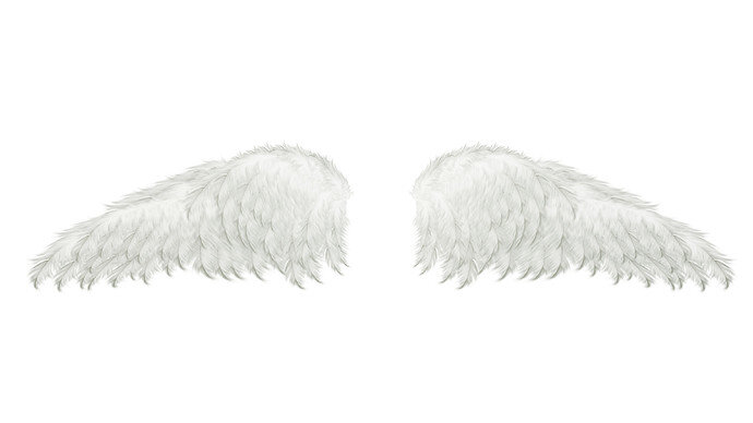 Mockup wings eevee