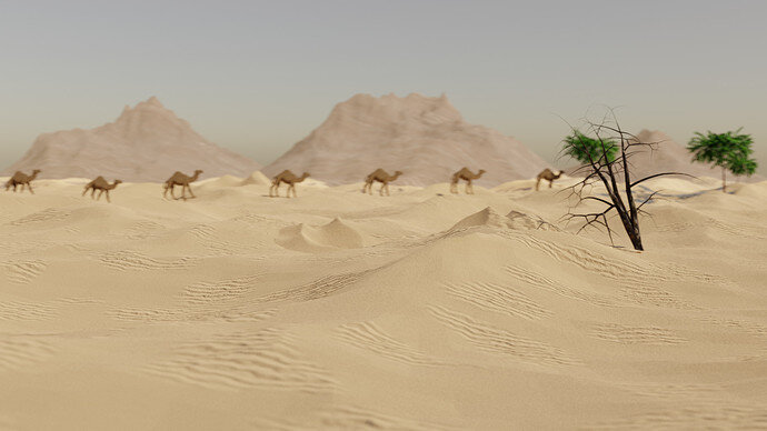 New Desert_11