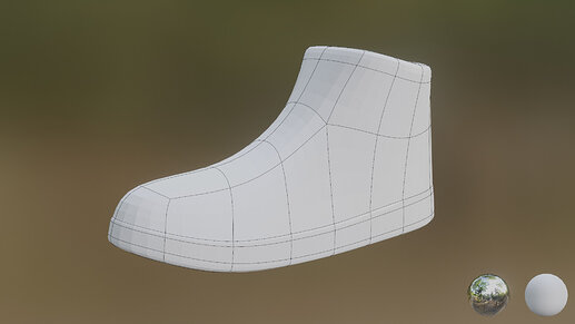 Shoe00
