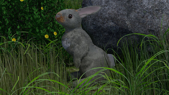 Rabbit16