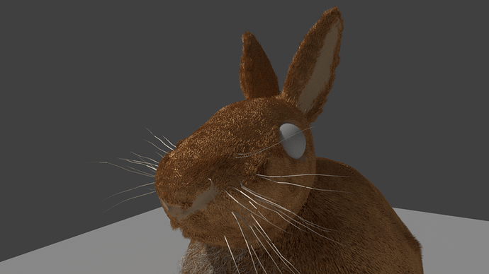 Rabbit_render8