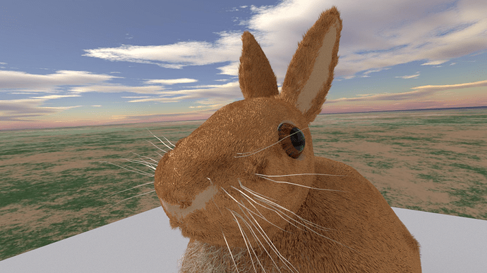 Rabbit_Sky_box