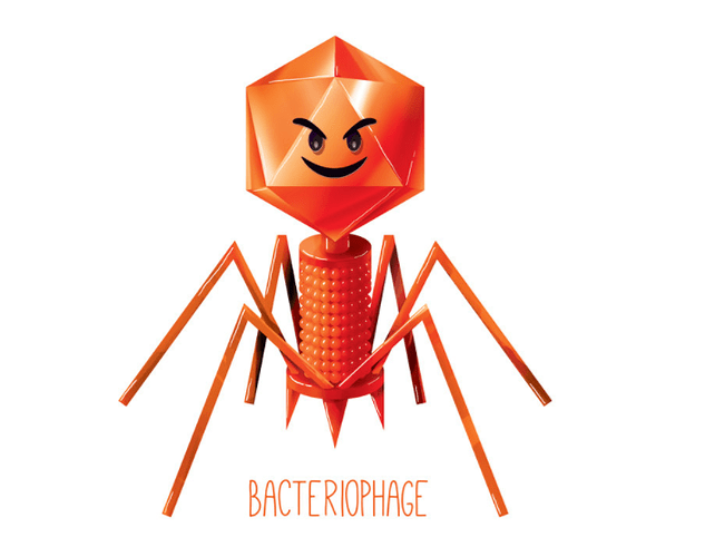 Bacteriophage2