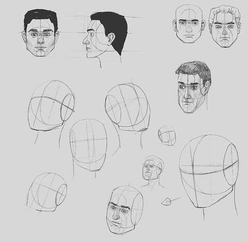 heads from 3 quarter view