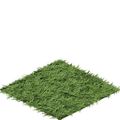 grass - 640