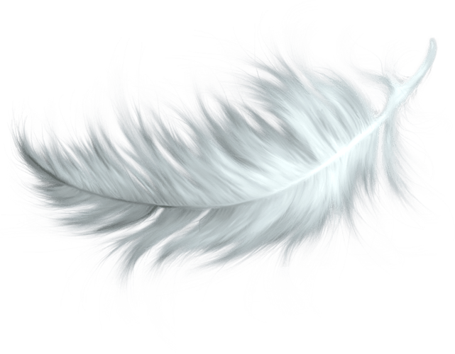 pngfind.com-feathers-png-474261