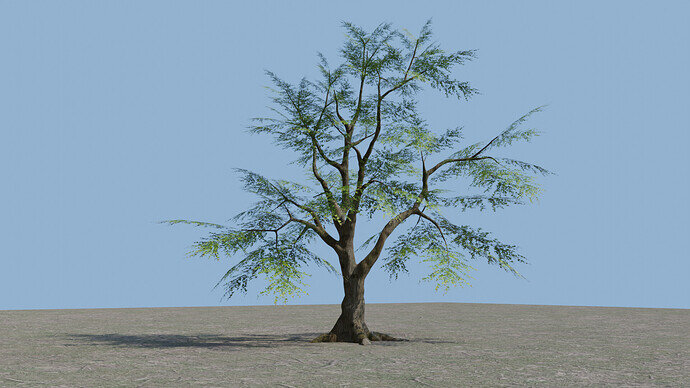 Tree v3 side