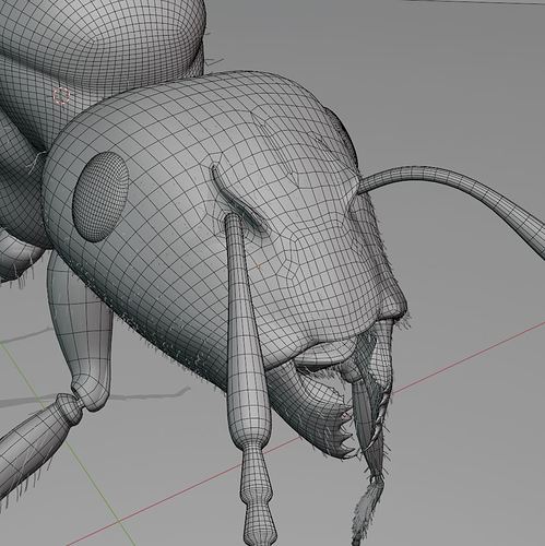 Ant head wire