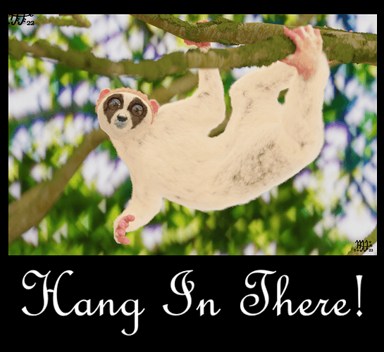 HangInThere!