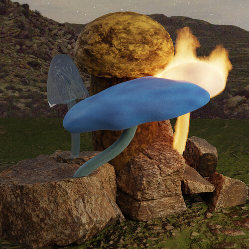 FantasticMushrooms001
