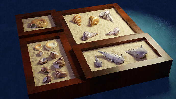seashells 2