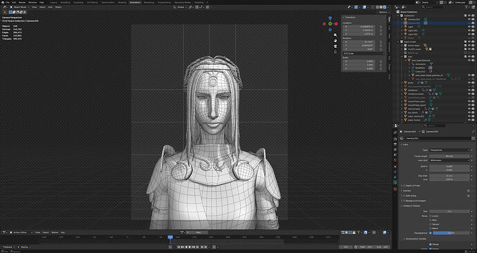 wireframe6