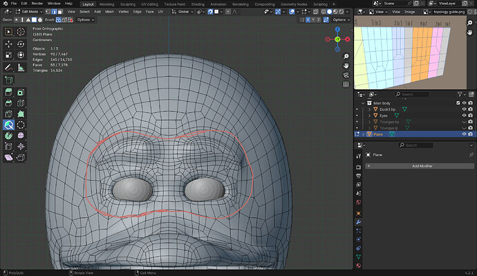 face topology