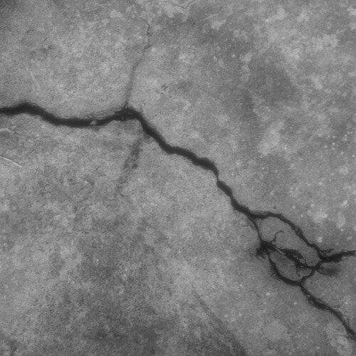 Crack 1