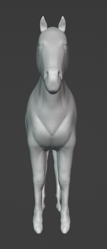 Horse 6