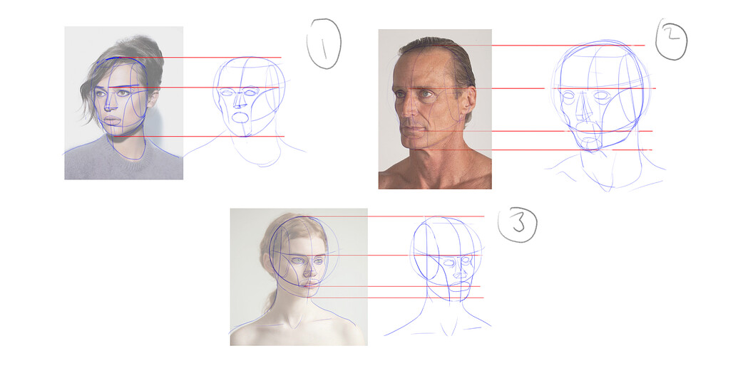 Head Structure Practice - Show - GameDev.tv
