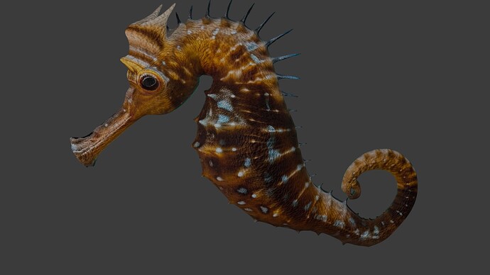 Seahorse - 05