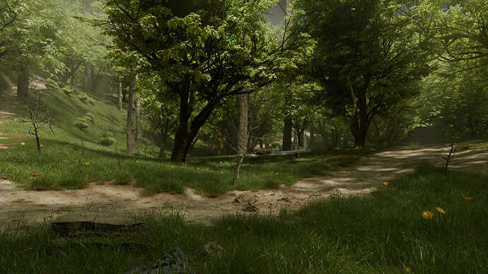 forest 04