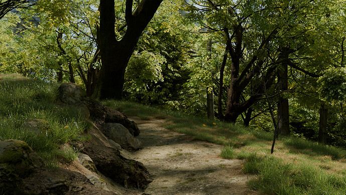 forest 01
