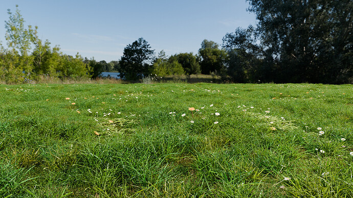 grass_colors