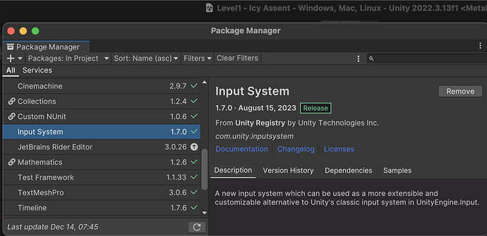 icey ascent input system enabled