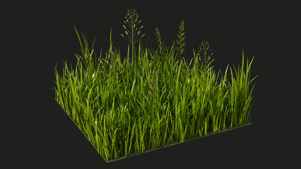 Geometry Node grass system - Show - GameDev.tv