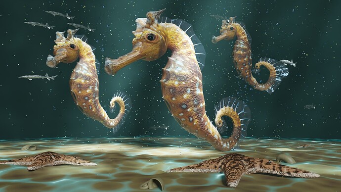Seahorse - 12