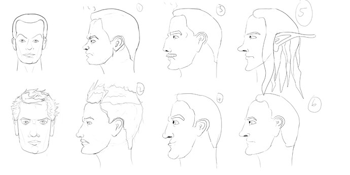 Face Proportions Side View