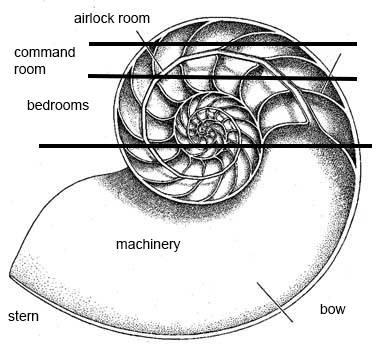 nautilus diagram