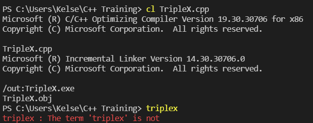TripleX error example 2