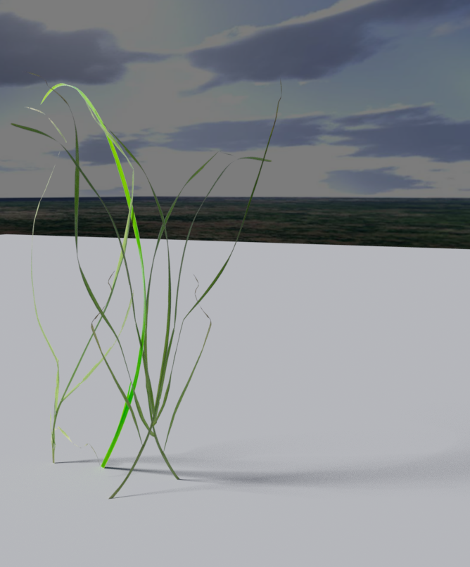 grass_test_rend-crop