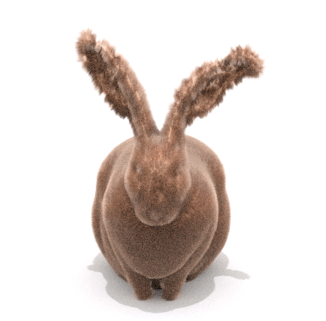rabbitfur01