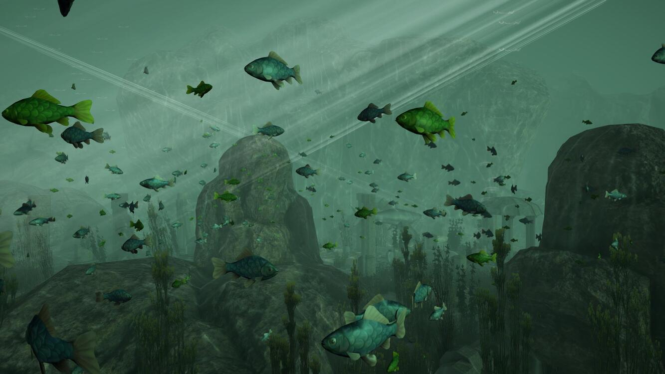 Aquarium Build3 test 2017-08-11 21-07-18-60
