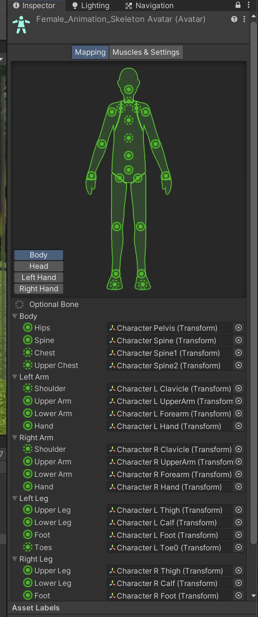 T Pose stuck - Ask - GameDev.tv
