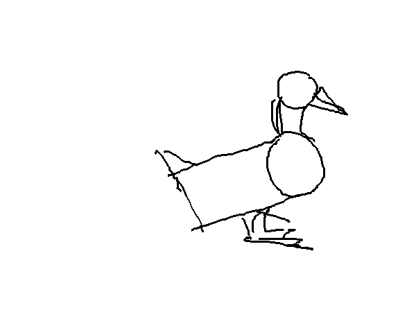 70-duck