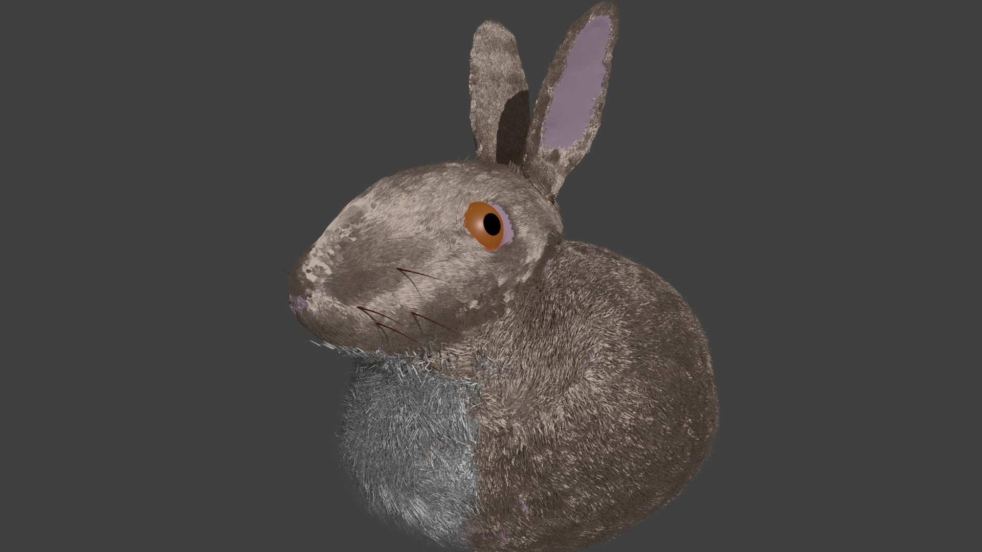 Bunny%20Eye