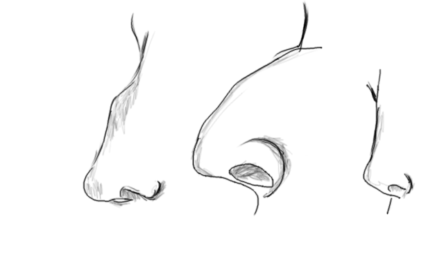 three_noses