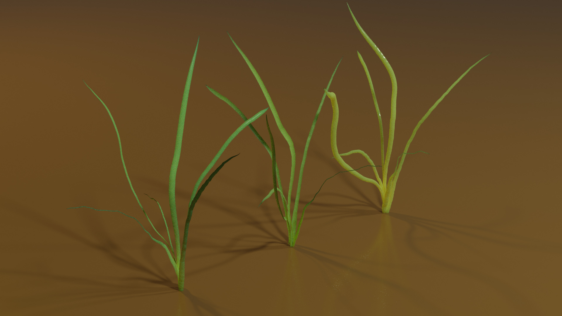 Grass%20-%20Cycles