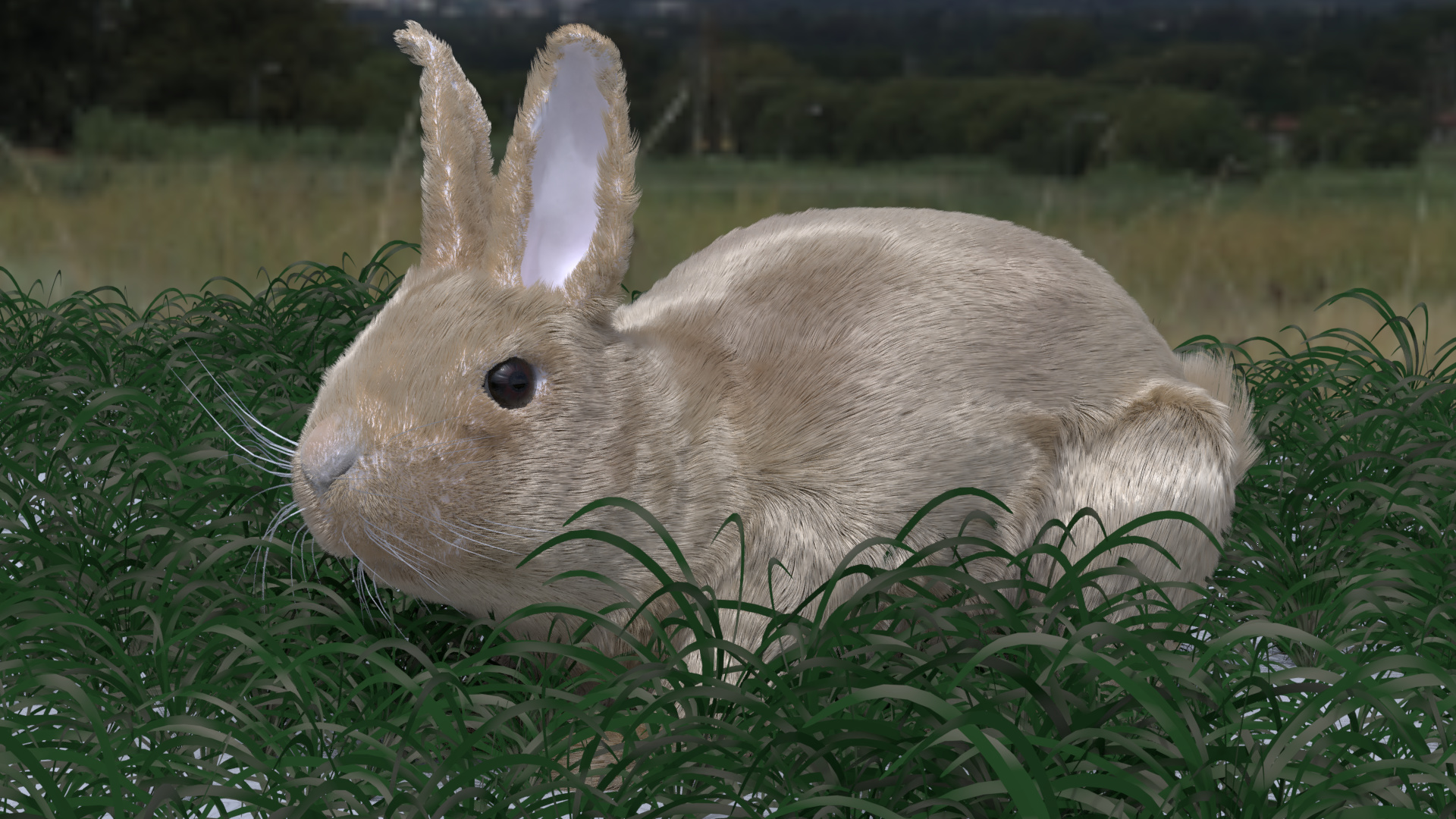 Bunny_Mesh_Grass2
