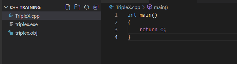 TripleX error example 1