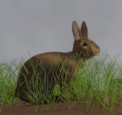 Rabbit%20in%20grass