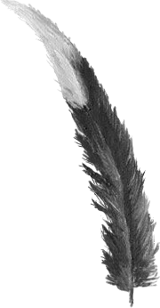 Feather4