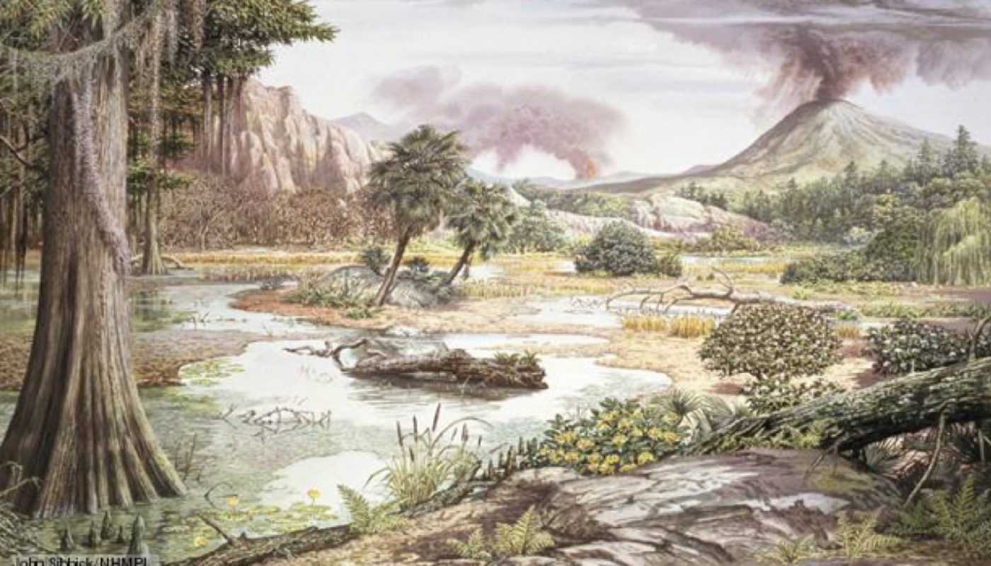 Мезозойская эра триас. Меловой период мезозойской эры растения. Мезозой Юрский период климат.