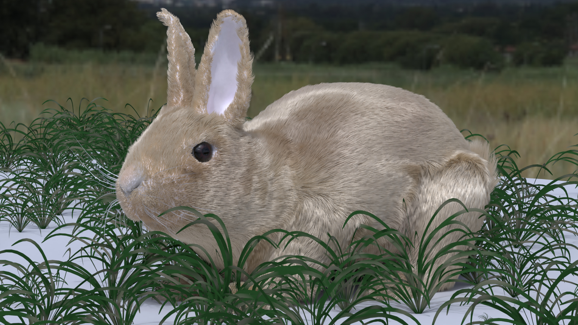 Bunny_Mesh_Grass