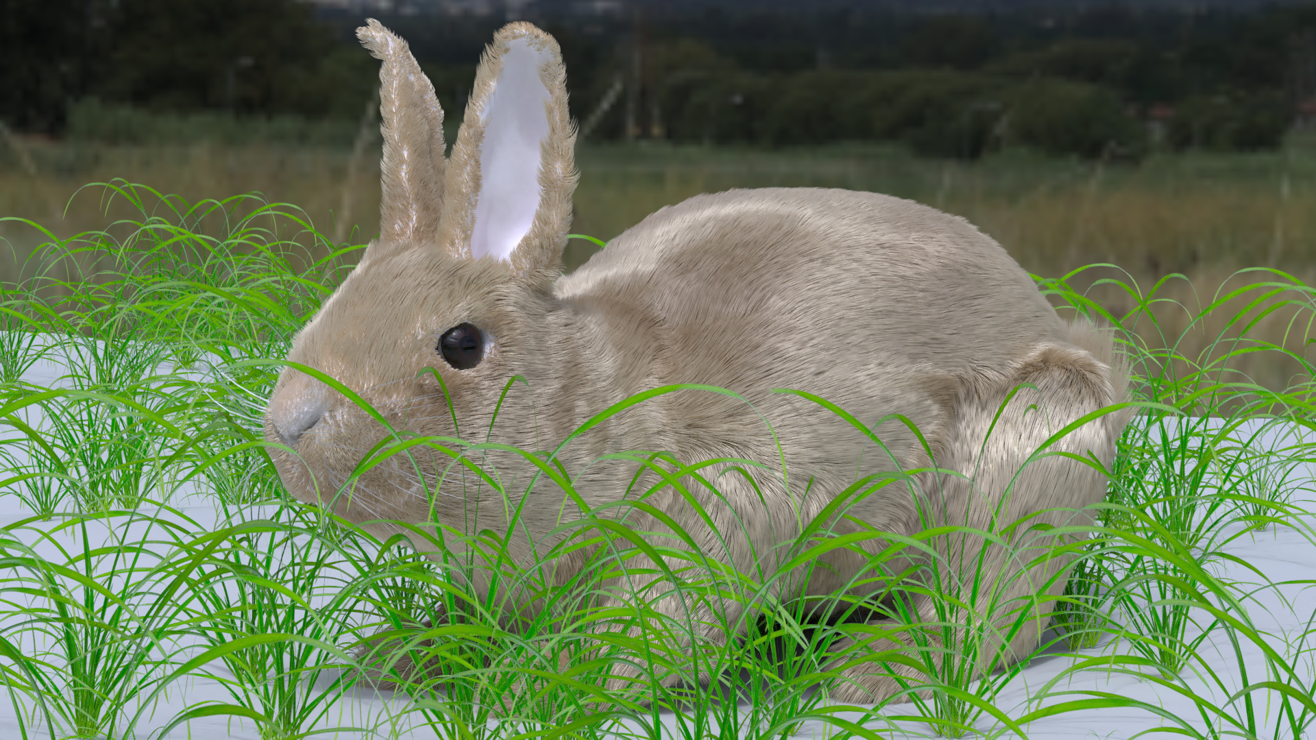 Bunny_Terrible_Grass